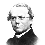 Gregor Johann Mendel Gregor Johann Mendel